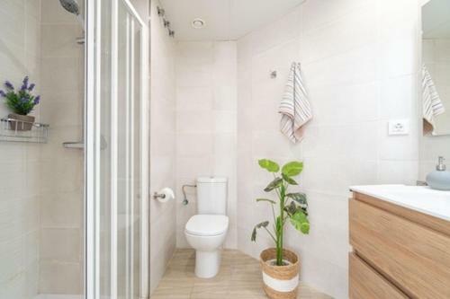 Apartamento Marivent 2023