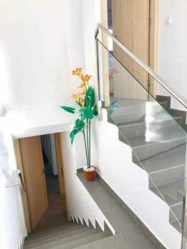 Apartamento �tico Almadrava