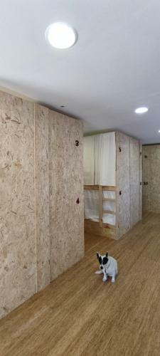 Hostel Namor
