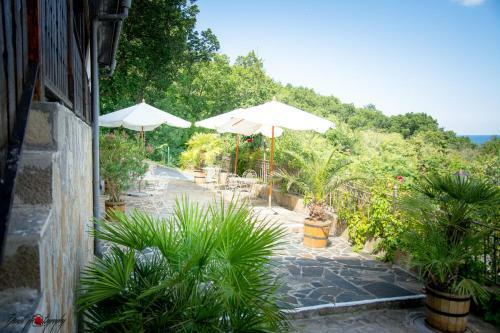 Hotel Arkutino Family Resort - All Inclusive