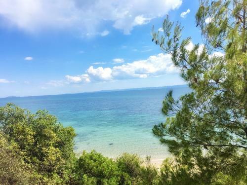 Red Coral Apartments