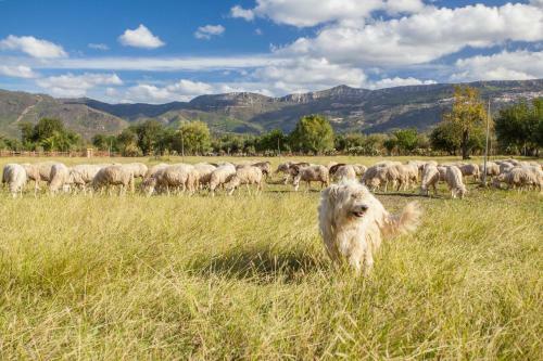 Agroturismo I Mandorli