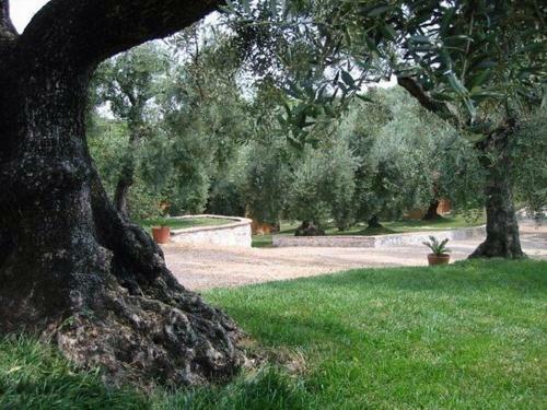 Agroturismo I Giardini Di Margius