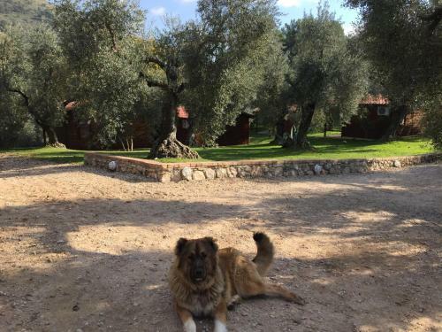 Agroturismo I Giardini Di Margius