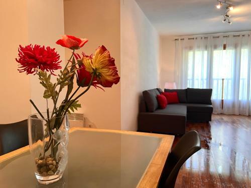 Apartament Els Raiers