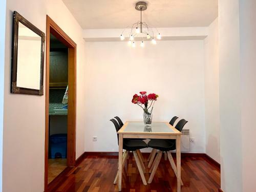 Apartament Els Raiers