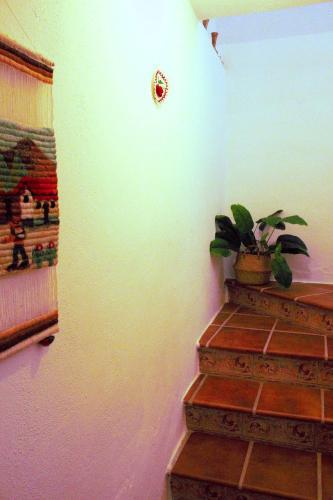 Alojamiento Rural Anto�ico Pilar