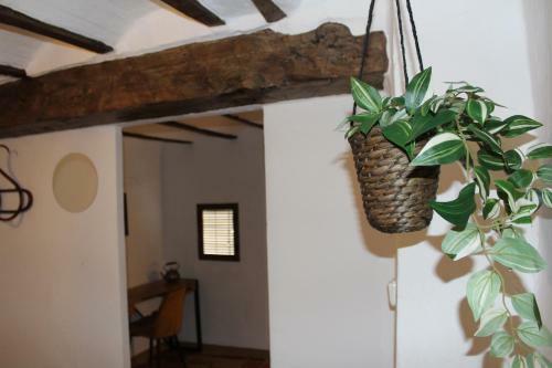 Casa Rural Lavid