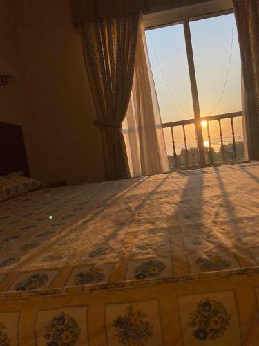 Hotel Don Mexil�n