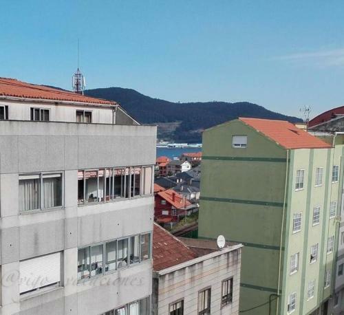 Apartamento Vista C�es