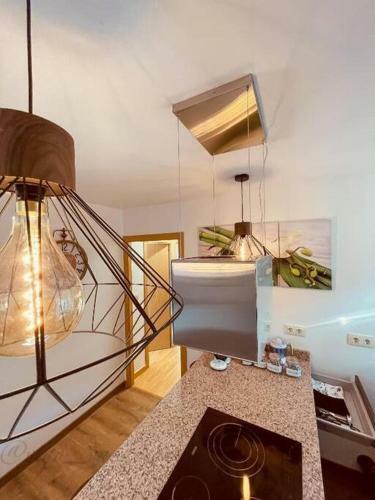 Apartamento Vista C�es