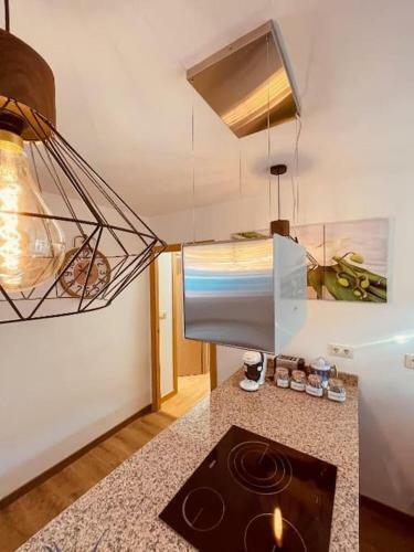 Apartamento Vista C�es