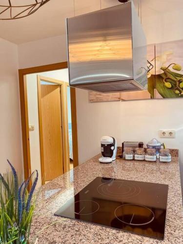 Apartamento Vista C�es