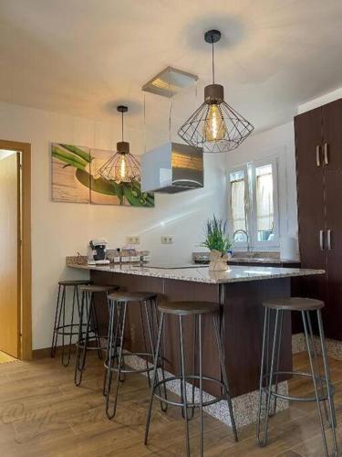 Apartamento Vista C�es