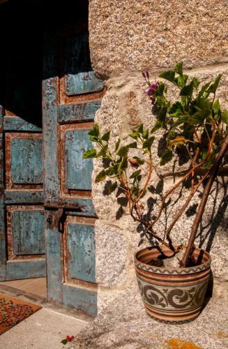 Agroturismo Casa D'mina