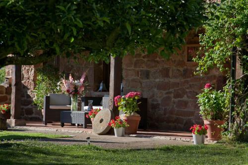 Agroturismo Casa Rural La Ace�a