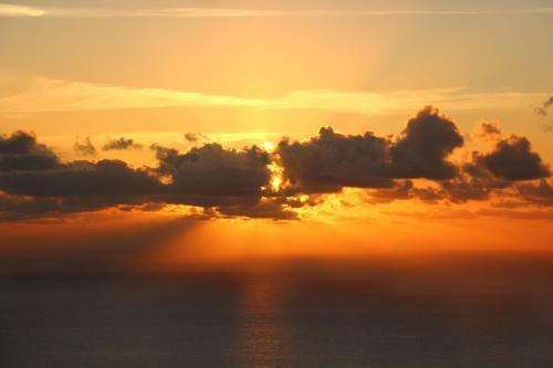 Apartamento Casa Vista P�jaro