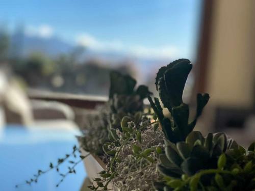 Apartamento Puigcerd� Cal Gatesques 4