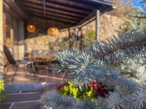 Apartamento Puigcerd� Cal Gatesques 4
