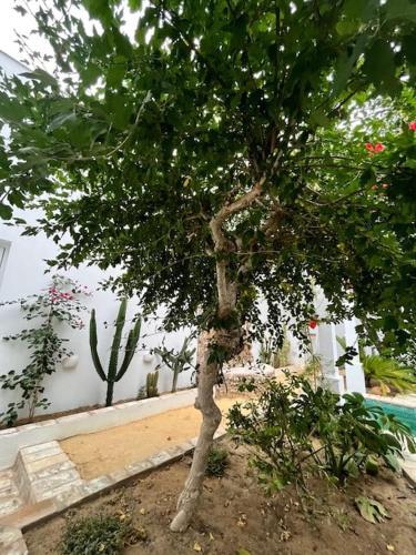 Espectacular Casa_isma