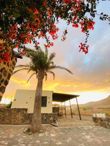 Apartamento Erbania Heritage, Naturally