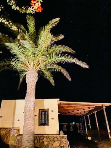 Apartamento Erbania Heritage, Naturally