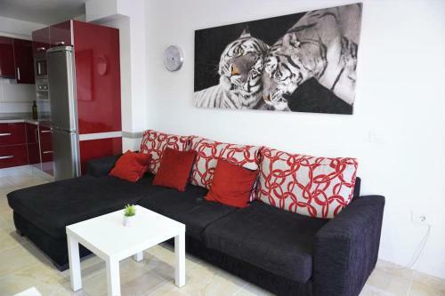 South Coast Apartment