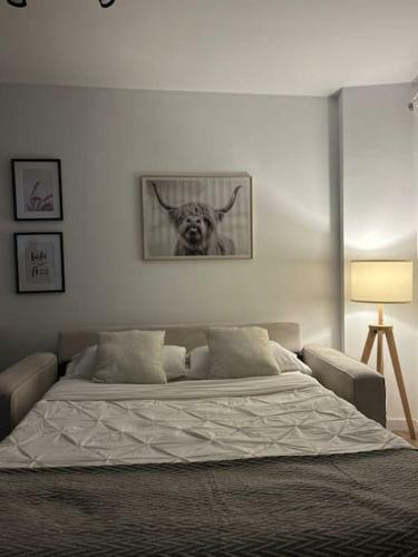 Fisco Apartamento
