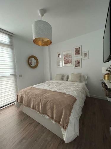 Fisco Apartamento