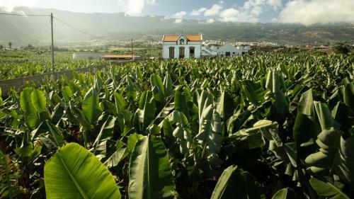 Villa Hacienda Los Orovales