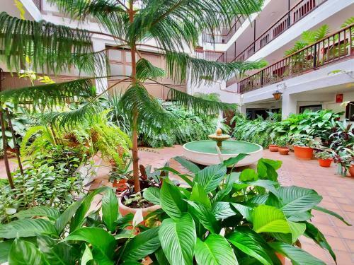 Apartamento Santa Marina