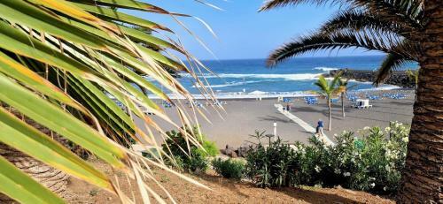 Apartamento Puerto Palms & Waves