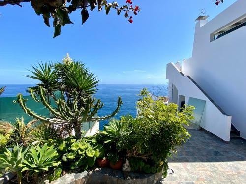 Villa Oasis La Paz - Pelicar Apartment - Adults Only -