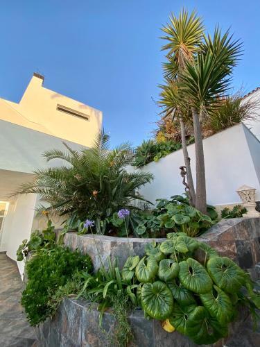 Villa Oasis La Paz - Pelicar Apartment - Adults Only -