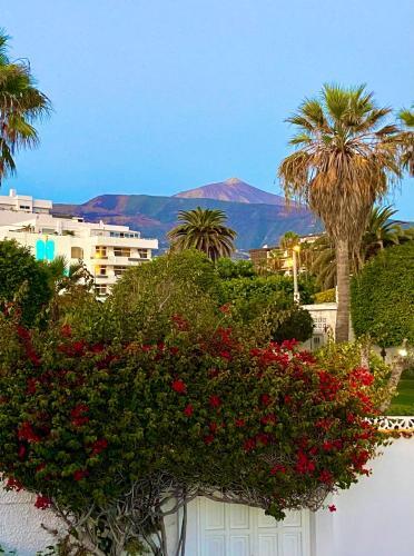 Villa Oasis La Paz - Pelicar Apartment - Adults Only -