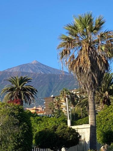 Apartamento Villa Oasis La Paz - Pelinor Studio - Adults Only