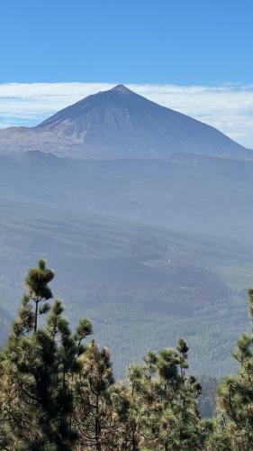 Apartamento Marina Suites Tenerife