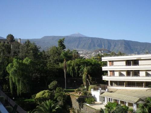 Nice Apartment In Puerto De La Cruz