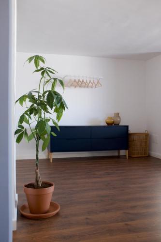 La Terraza! Studio Apartment
