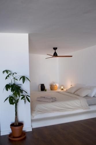La Terraza! Studio Apartment