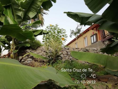 Apartamento Tantulia Las Tapias