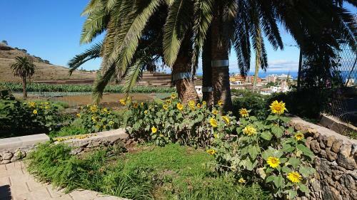 Apartamento Tantulia Las Tapias