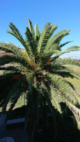 Apartamento Tantulia Las Tapias