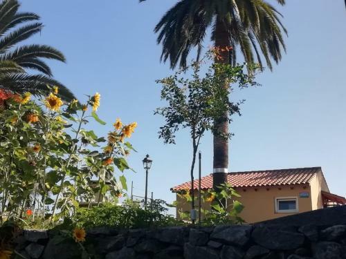Apartamento Tantulia Las Tapias