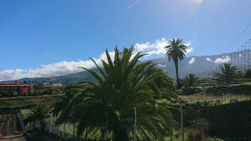Apartamento Tantulia Las Tapias