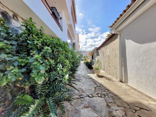 Apartamento Casa Hibiscus
