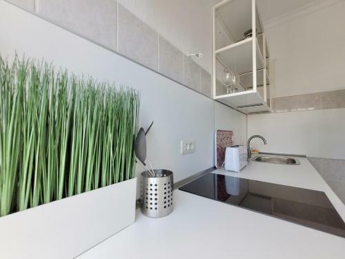 Apartamento Coco & Palma With Sea Views