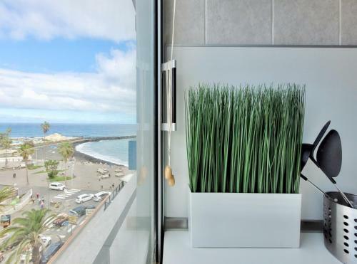 Apartamento Coco & Palma With Sea Views