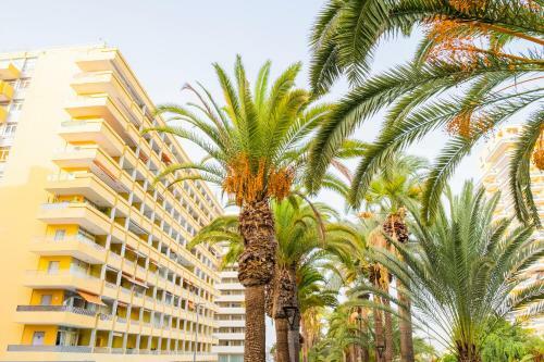 Apartamento Live Puerto De La Cruz Las Palmeras