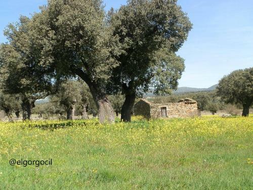 Casa Rural El Gorgocil